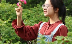 韩国电影甜性涩爱